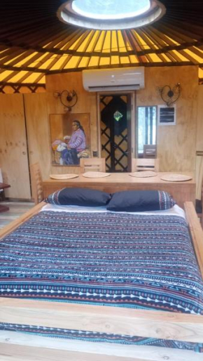 Yurta experiencias